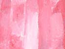 Kudditji Kngwarreye