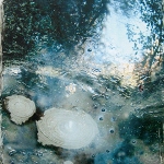 Lyne Marshall