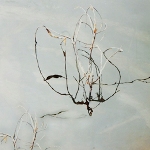 Lyne Marshall