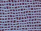 Abie Loy Kemarre